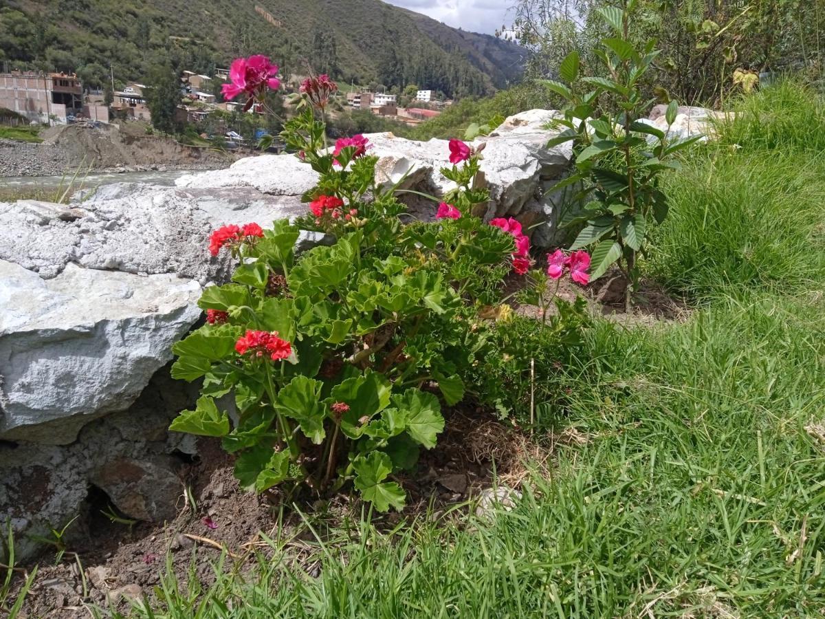 Ecolodge Casa Del Montanista Huaraz  Buitenkant foto