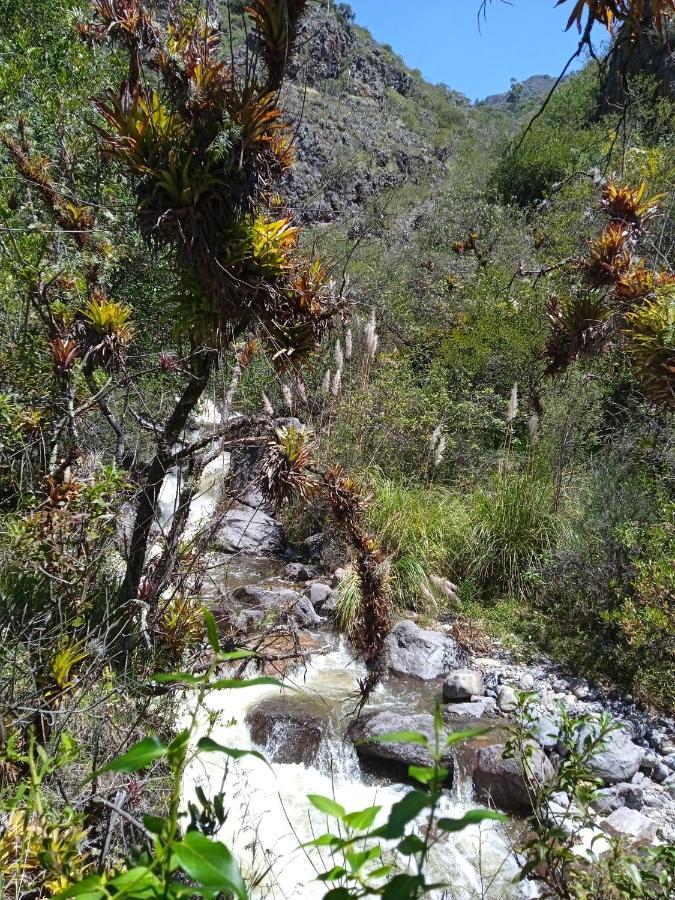 Ecolodge Casa Del Montanista Huaraz  Buitenkant foto