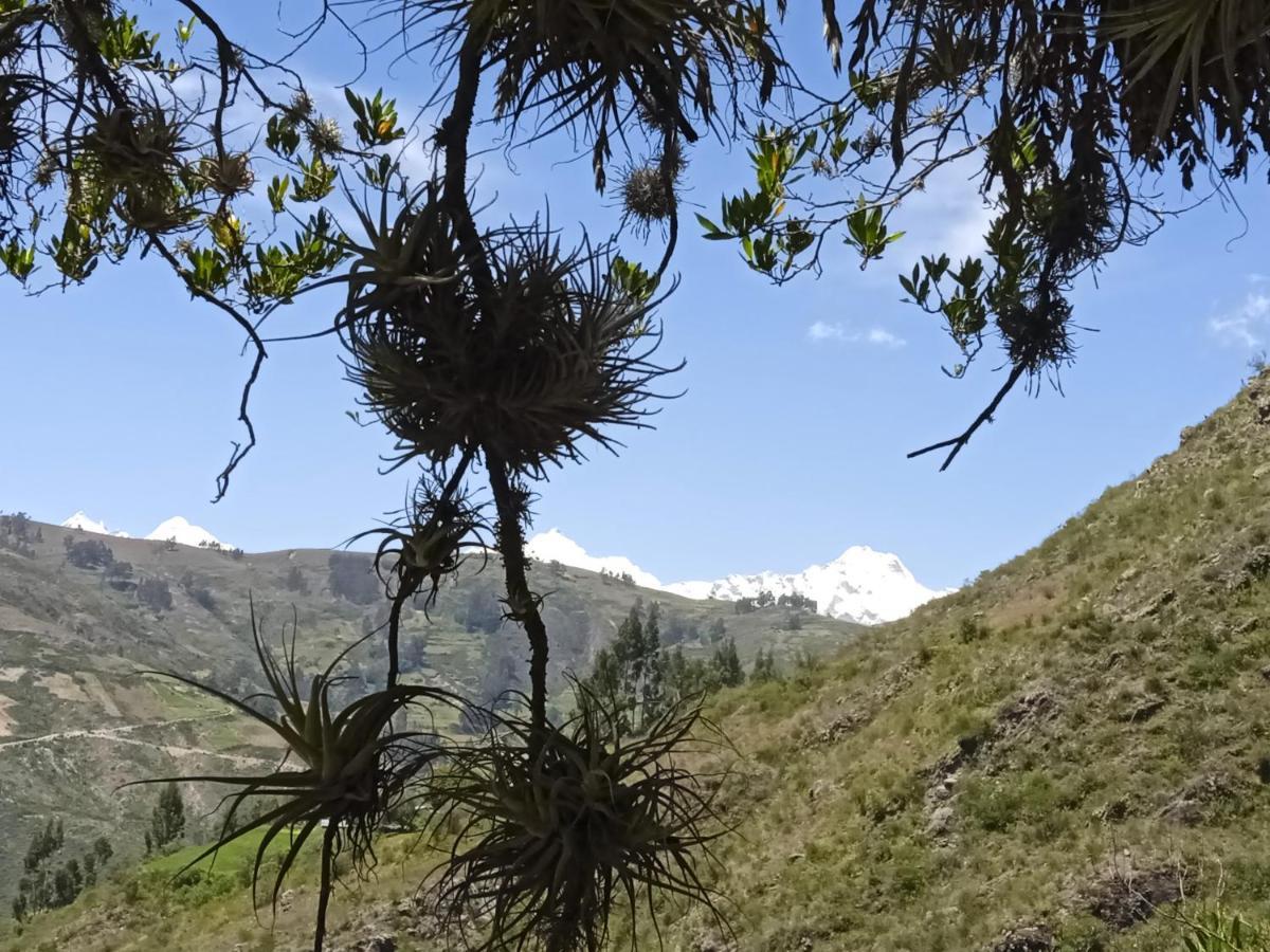 Ecolodge Casa Del Montanista Huaraz  Buitenkant foto